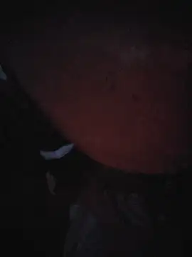 siambob webcam