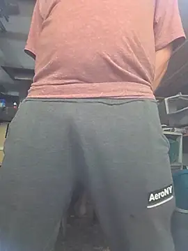 prcejack webcam