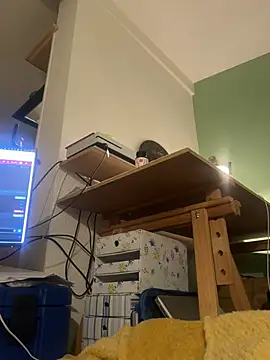 ardansoumise18 webcam