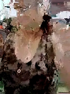 miko_nyan2006 webcam