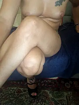 stellina8 webcam