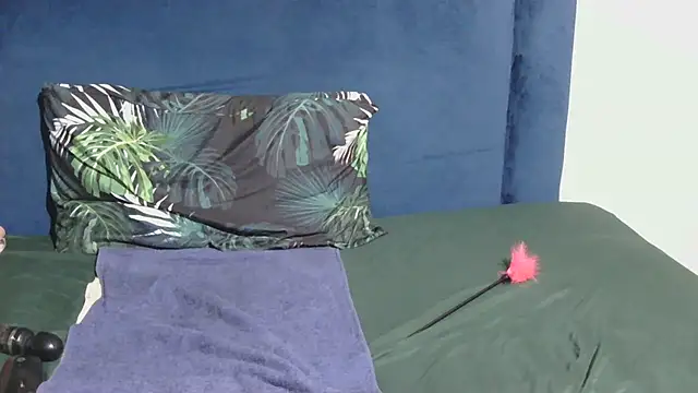 Melitaxx webcam