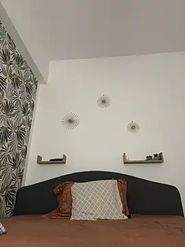 itsDasha webcam