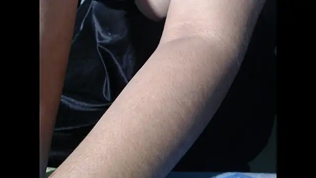 Model29 webcam