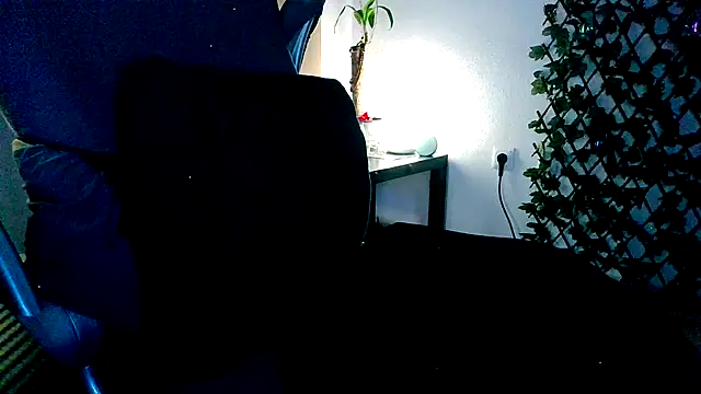 topdomcloud36 webcam