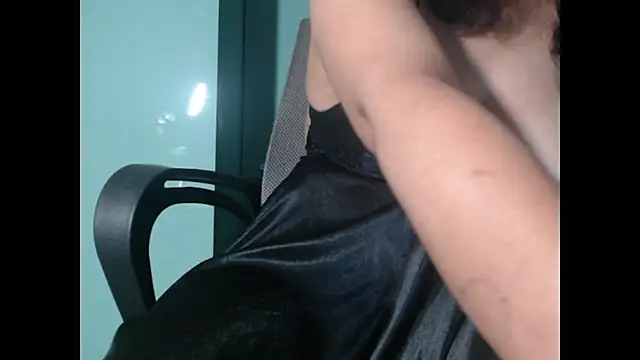 Model29 webcam