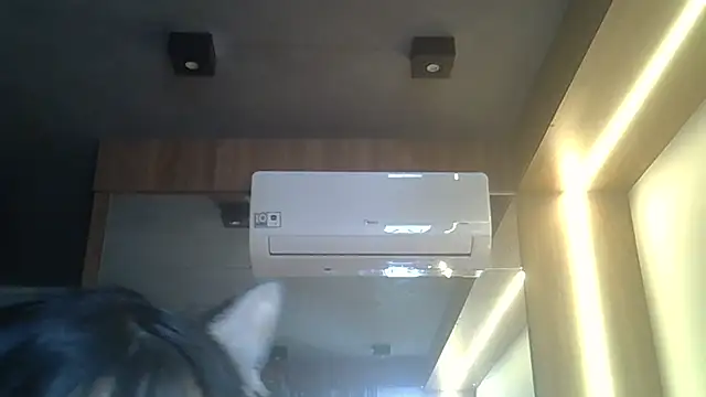 SkinnyKitten webcam