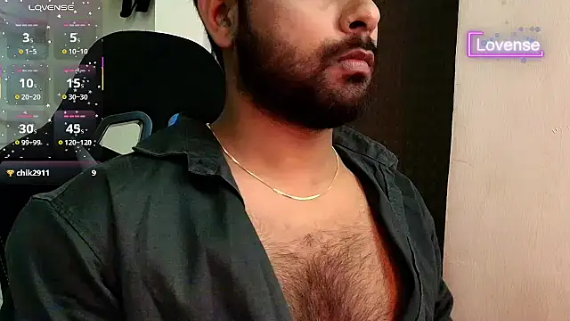 SilverShade3 webcam
