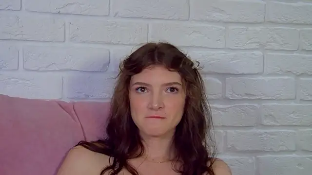 SophiaProve webcam