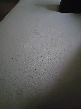 rachidagroscul webcam