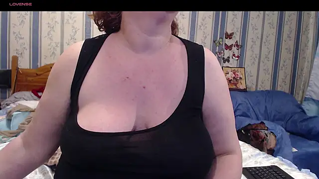 AMARILLIS webcam