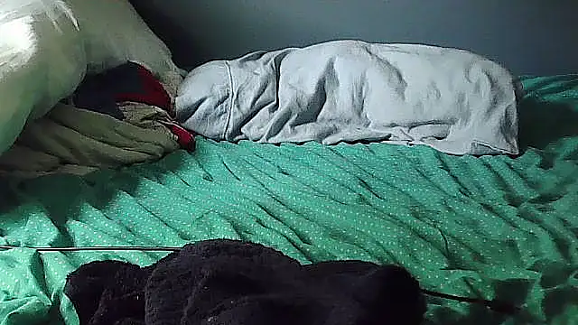 k-dong webcam