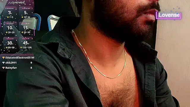 SilverShade3 webcam