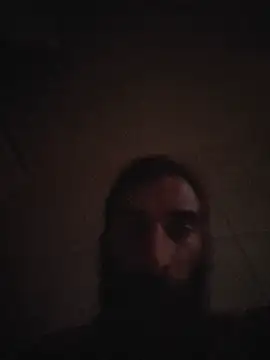 vulpe8400 webcam