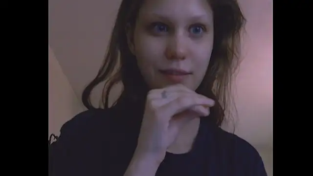 Lunliss webcam