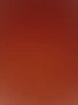 pirainilla webcam