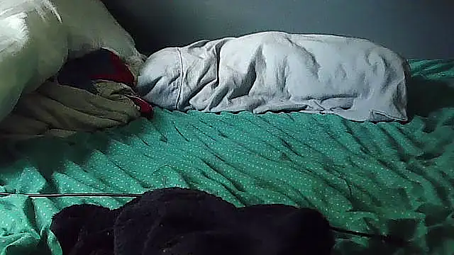 k-dong webcam