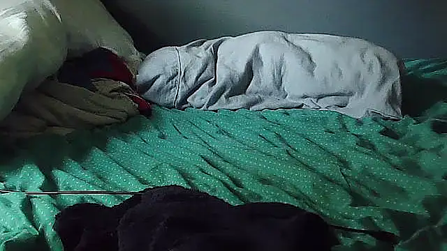 k-dong live cam on StripChat