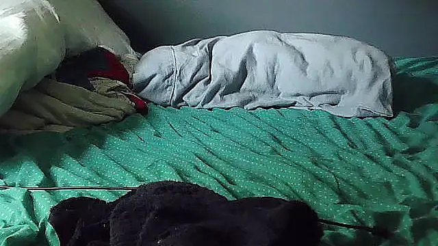 k-dong webcam