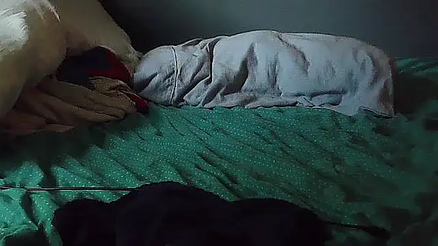 k-dong webcam