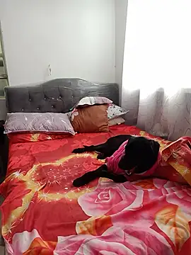 YaraDuartee webcam