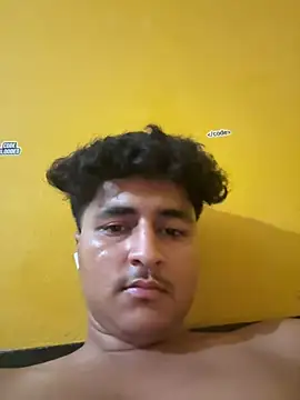 cannonWithMuscles webcam