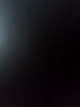 lui8181 webcam