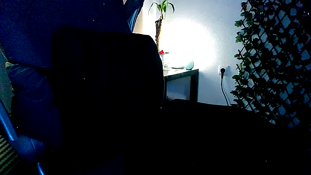 topdomcloud36 webcam