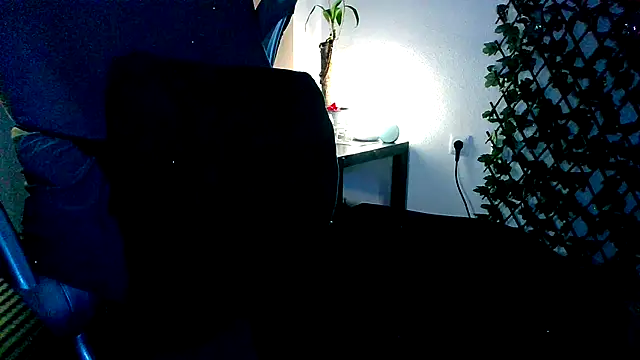 topdomcloud36 webcam