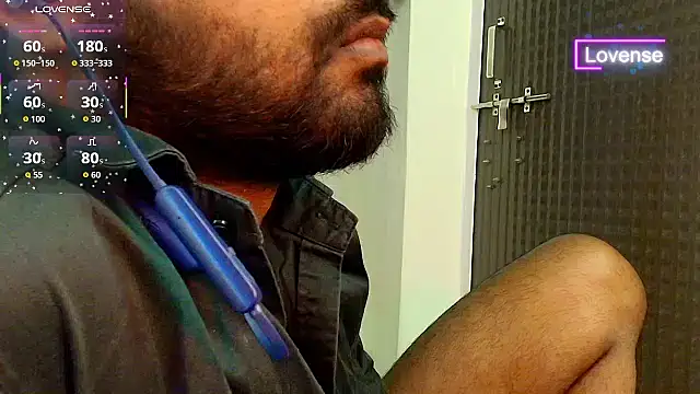 SilverShade3 webcam