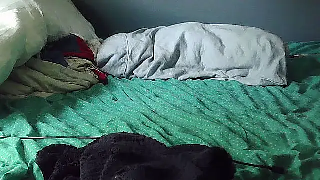 k-dong webcam