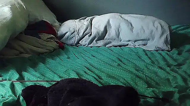 k-dong webcam