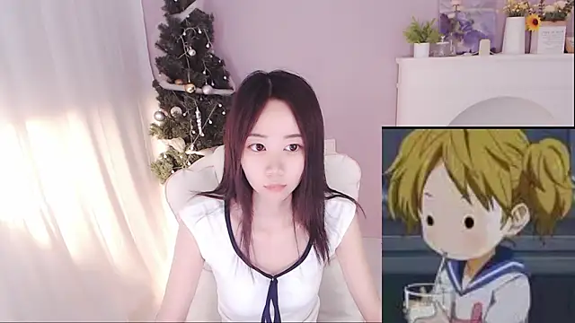 hall-33 webcam