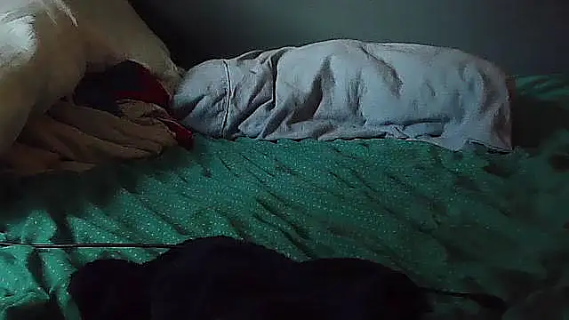 k-dong webcam