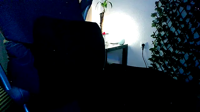 topdomcloud36 webcam