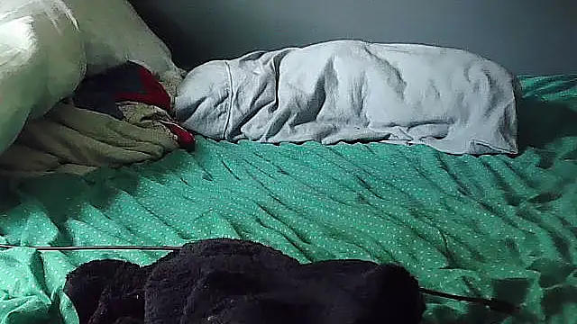 k-dong webcam