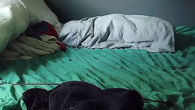 k-dong webcam