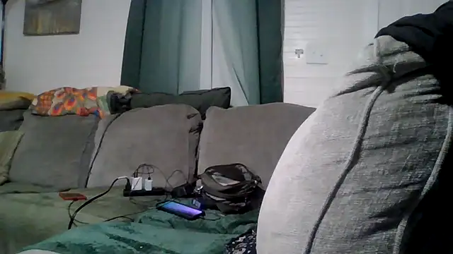 TWiSTYTheTwizted webcam