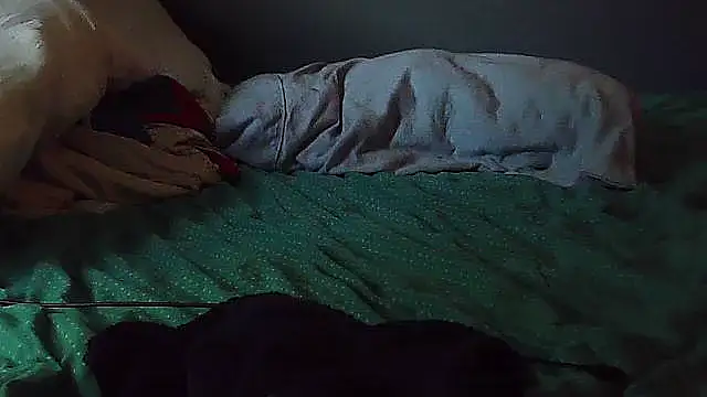 k-dong webcam