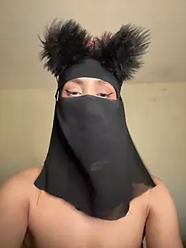 arabayla webcam