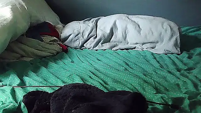 k-dong webcam