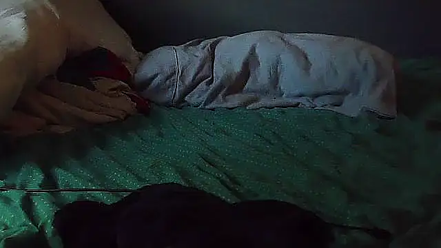 k-dong live cam on StripChat
