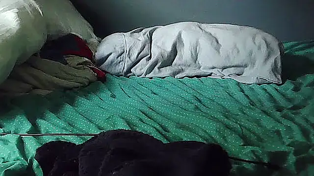 k-dong webcam