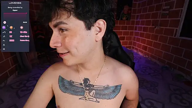 Ryan_picato webcam