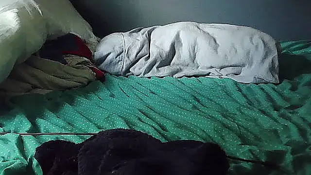 k-dong webcam