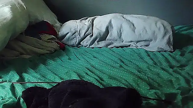 k-dong webcam