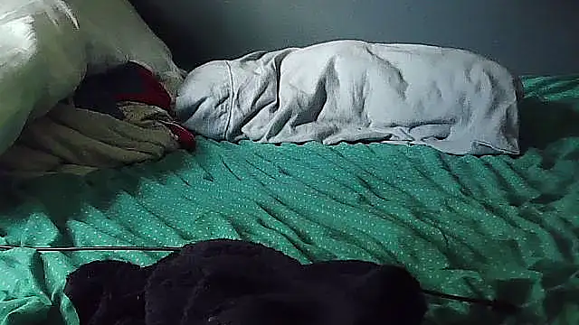 k-dong webcam