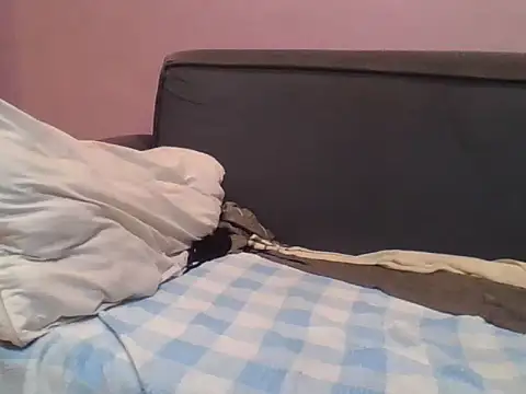 Thick_Me- webcam
