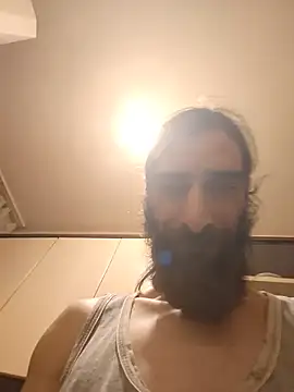 vulpe8400 webcam
