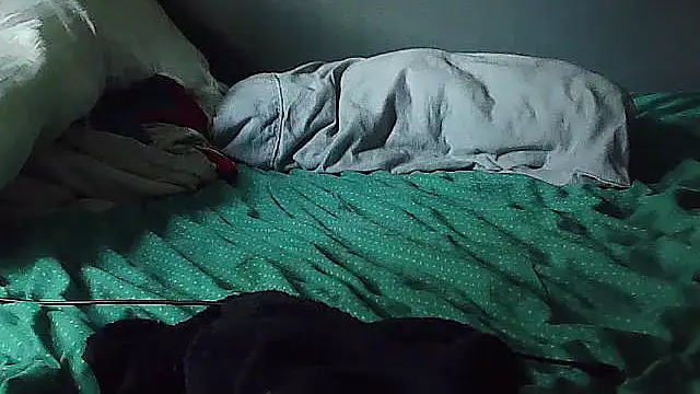 k-dong webcam